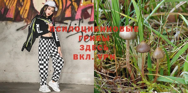 кокаин Наволоки